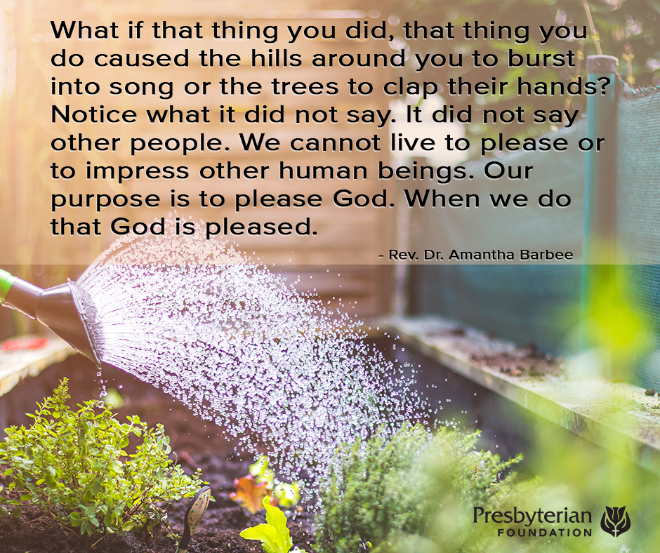 Plant today to provide nourishment for tomorrow Lectionary Preview for